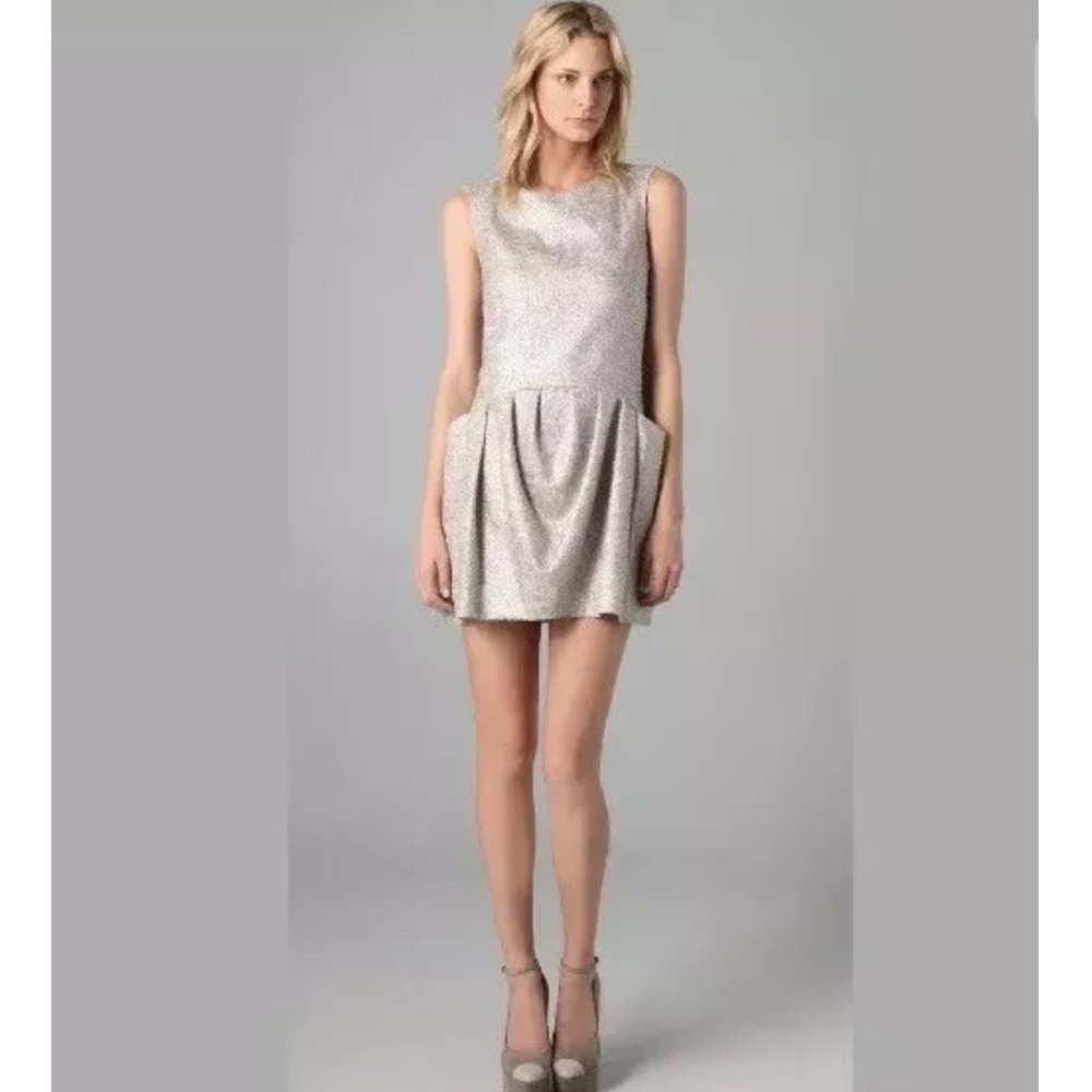 Theory theyskens’ theory Silver Dress